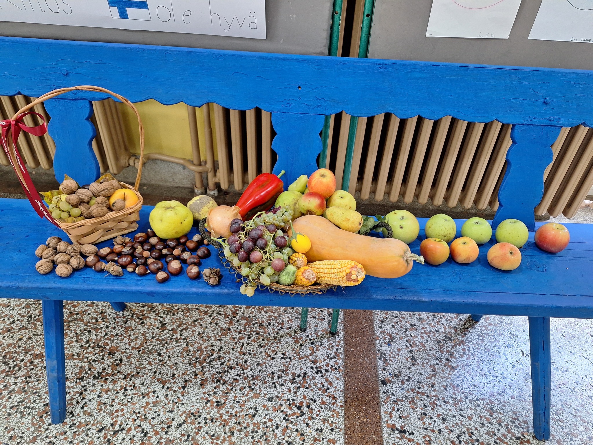 os marsal tito, zakladna skola marsala tita, Padina